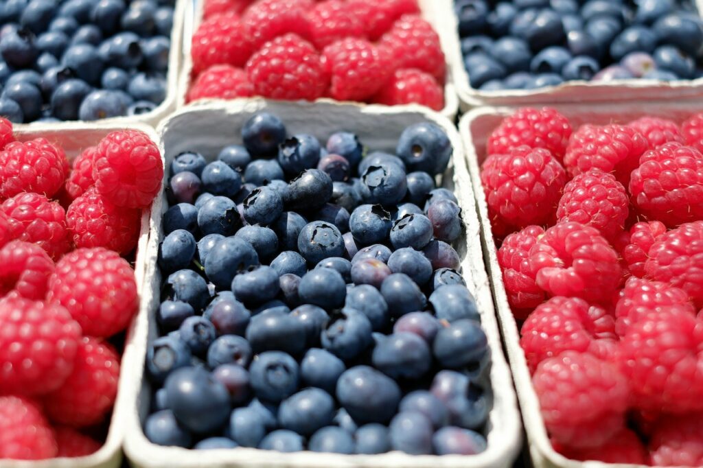 Berries Diet